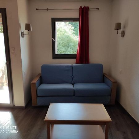 Appartement Les Palmiers ニース エクステリア 写真